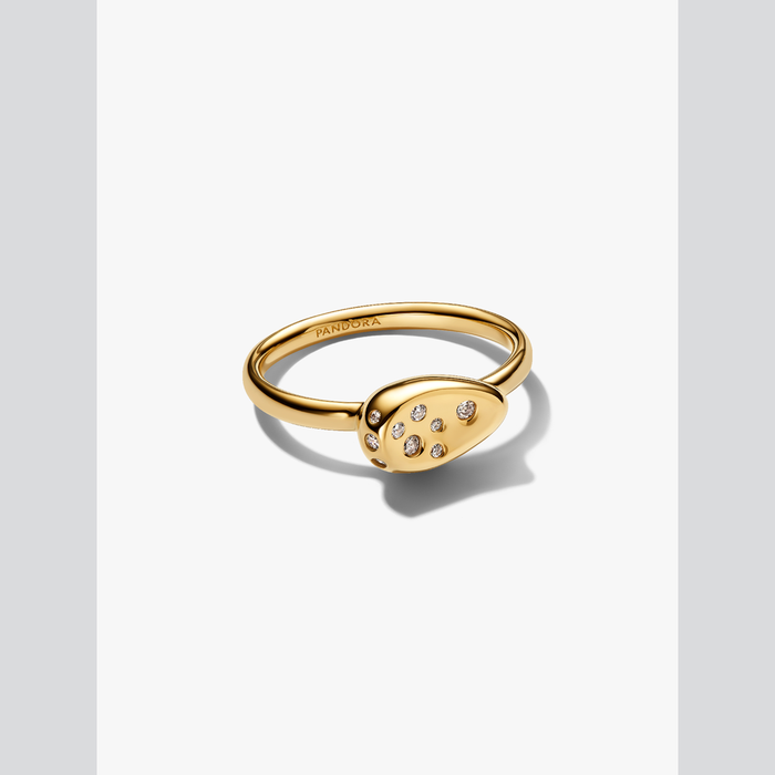 Anello Sigillo Piccolo con Pietre Luminose