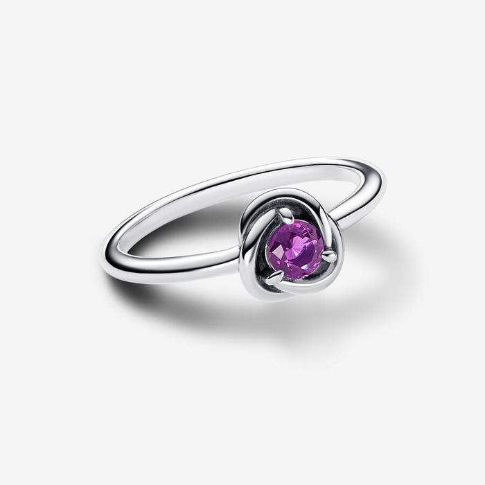 Anello Cerchio Eterno Viola Febbraio