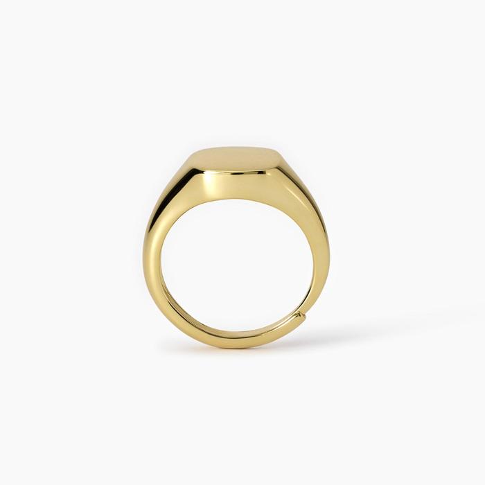 Anello chevalier regolabile in argento placcato oro Nobile
