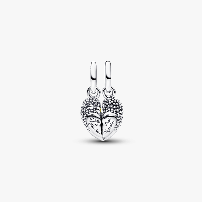 Charm Pendente Uccellini Innamorati Divisibile