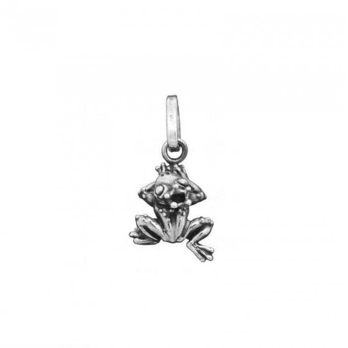 Charm principe ranocchio
