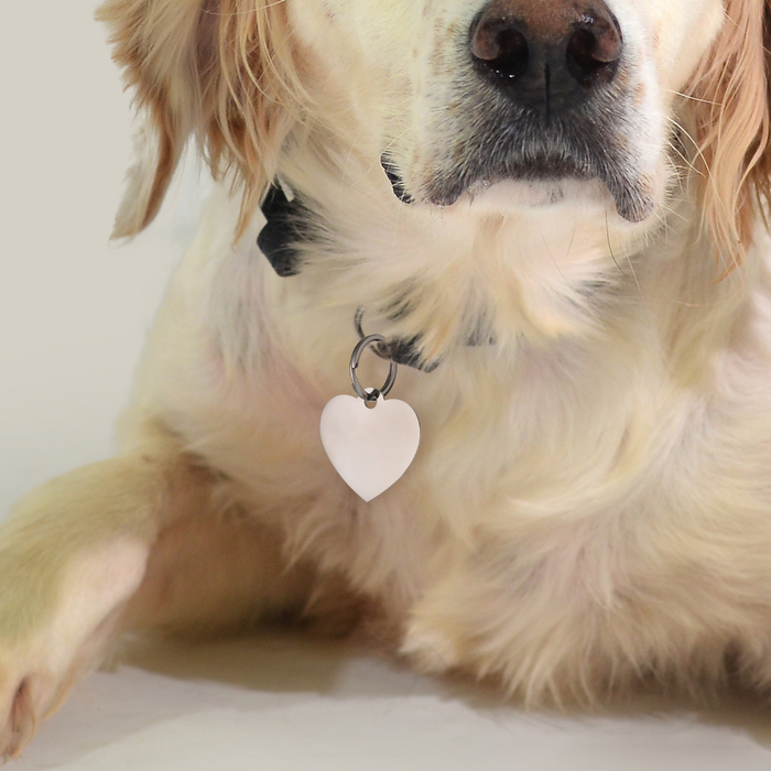 MEDAGLIETTA PERSONALIZZABILE CANE E GATTO CUORE