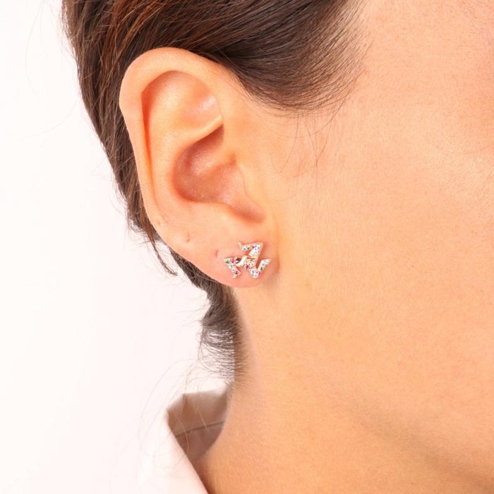 Orecchini in Argento 925