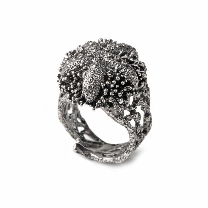 Anello Stella Riccio Nude