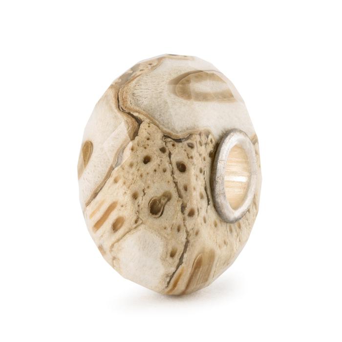 Legno Fossile