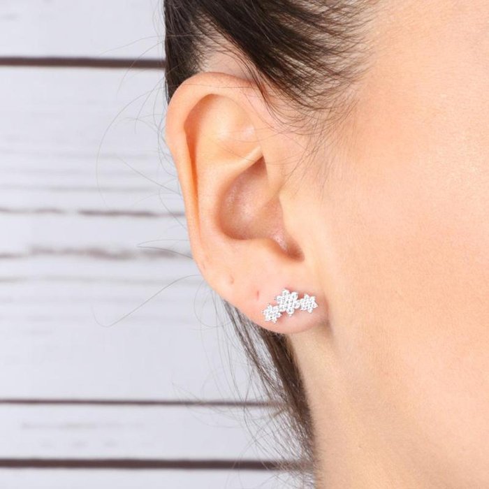 Orecchini in Argento 925