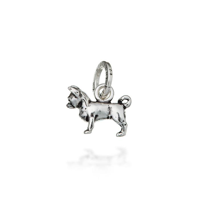 Charm Chihuahua