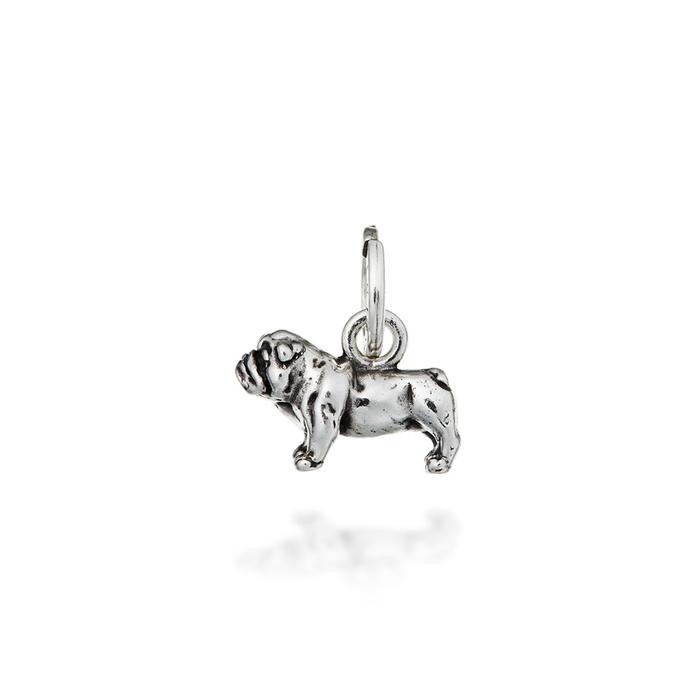 Charm Bulldog