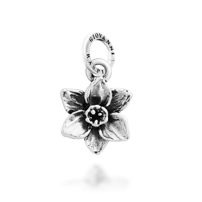 Charm Narciso Piccolo
