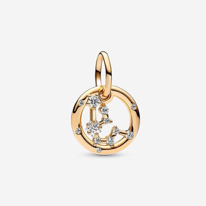 Charm Pendente Segno Zodiacale Acquario