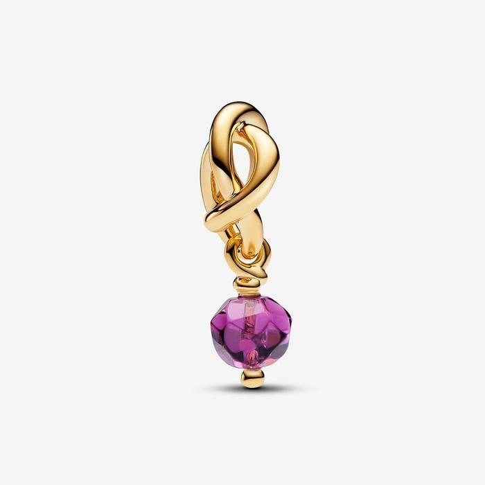 Charm Pendente Cerchio Eterno Viola Febbraio