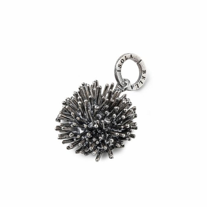Charm  Riccio Nude