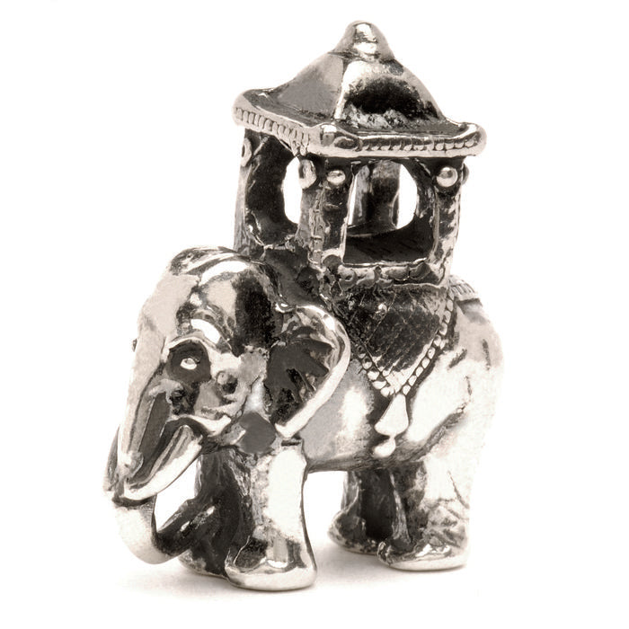 Elefante indiano