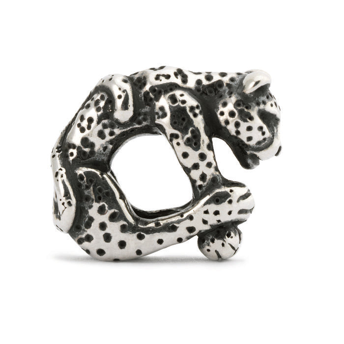 Leopardo