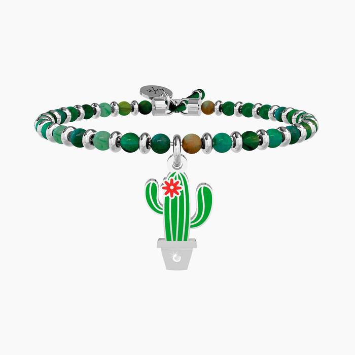 CACTUS | OLTRE LE APPARENZE