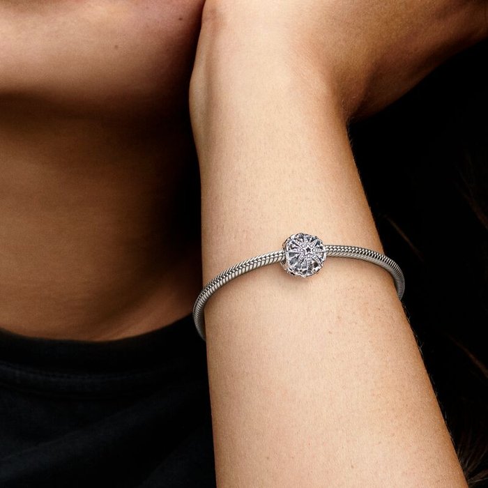 Charm Stella Invernale