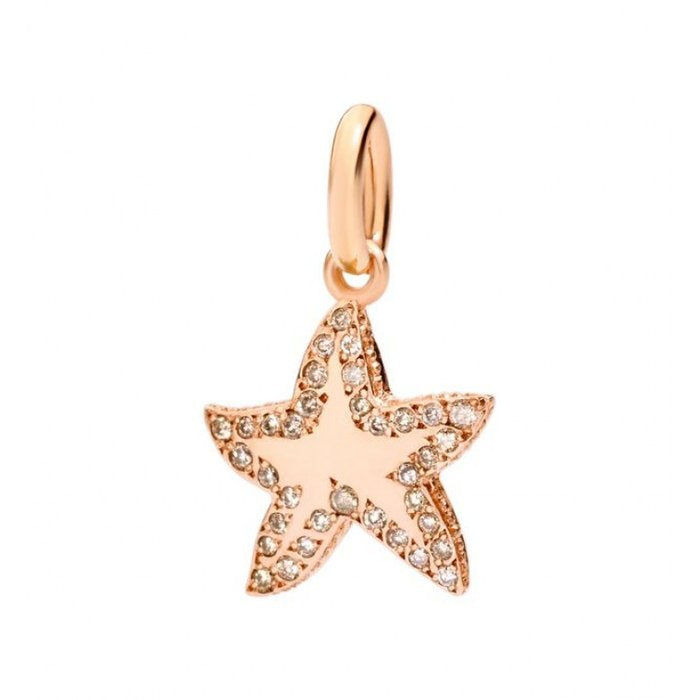 STELLINA