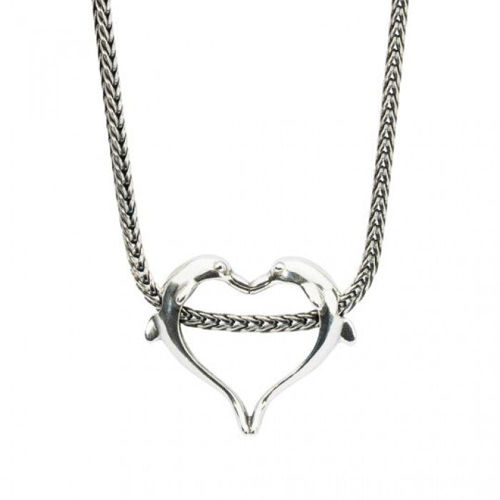 Cuore di delfino