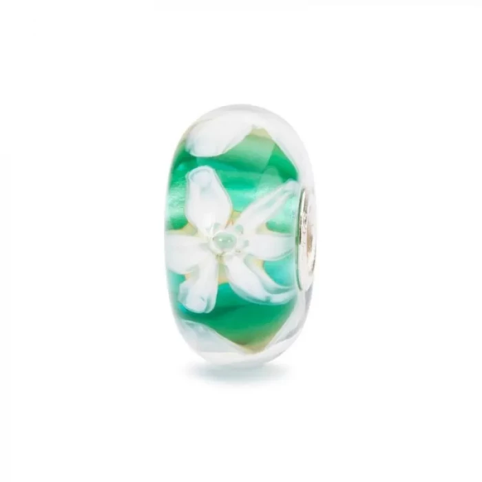 Fiore della speranza