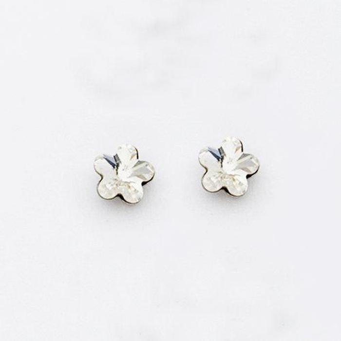 Orecchini In Argento 925