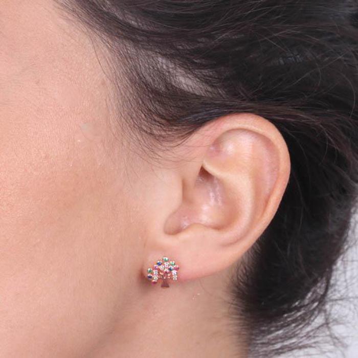 Orecchini In Argento 925