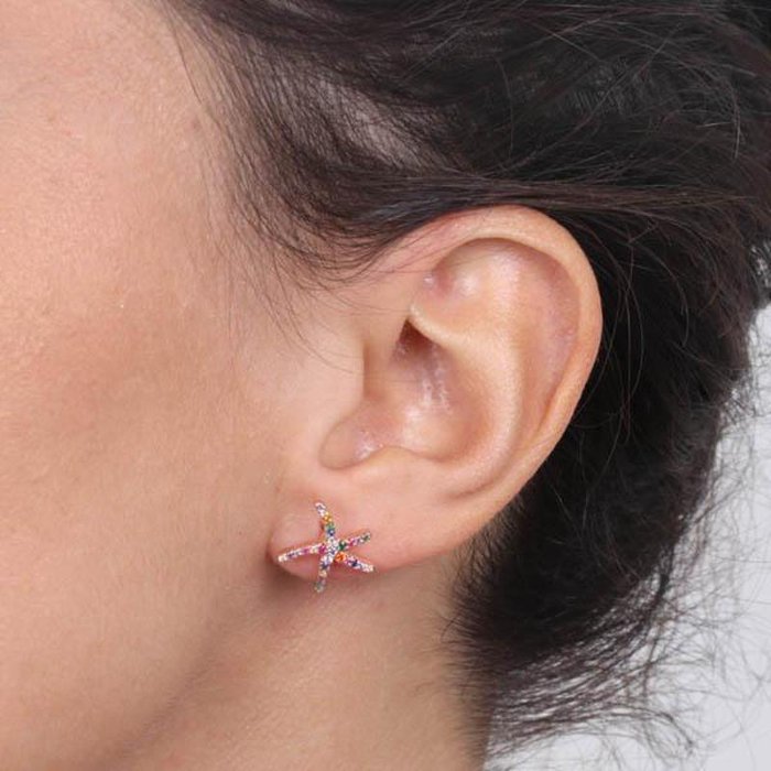 Orecchini in Argento 925