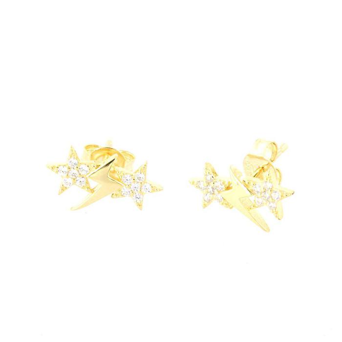 Orecchini In Argento 925
